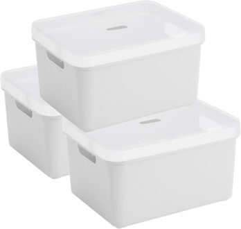 SunWare opbergbox - 3x stuks - 32 liter - wit - kunststof - transparante deksel - 45x35x24 cm