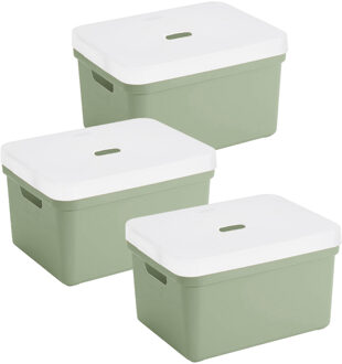 SunWare opbergbox met deksel - 3x - Sigma Home - kunststof - 5 liter - lichtgroen - opberg dozen