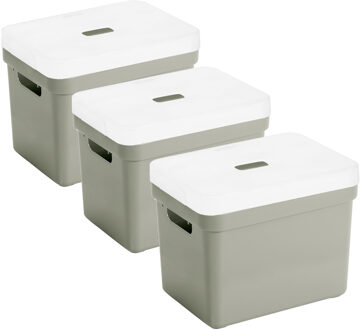 SunWare Opbergbox met transparante deksel - 3x stuks - lichtgroen - 18L - kunststof - 35x25x24cm