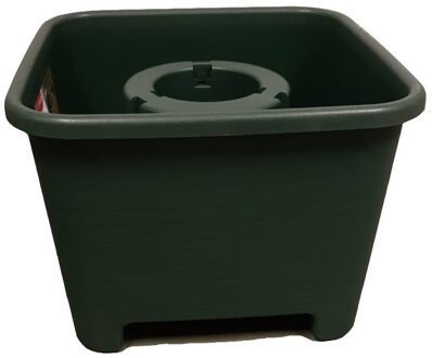 SunWare Vierkante groene kerstboom standaard voor een Nordmann kerstboom Multi