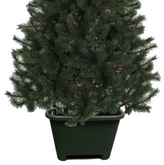SunWare Vierkante kerstboomvoet groen voor een echte kerstboom - Kerstboomstandaards