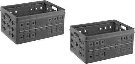 SunWare Vouwkratten - 2x stuks - inklapbare boodschappenkratten - opberg krat - 46 liter - grijs