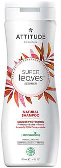Super Leaves Shampoo - Color Protection
