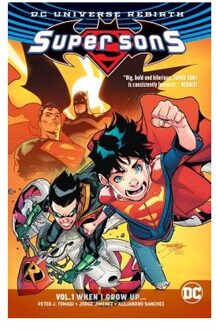 Super Sons Vol. 1