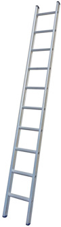 SuperPRO Enkel Rechte Ladder SuperPRO Geanodiseerd | 10 Sporten - 1250000110
