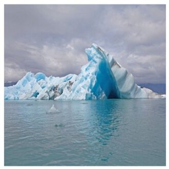 Surfer Blood - Snowdonia (White)