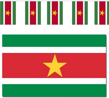Suriname vlaggen versiering set binnen/buiten 2-delig