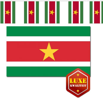 Suriname vlaggen versiering set binnen/buiten 2-delig