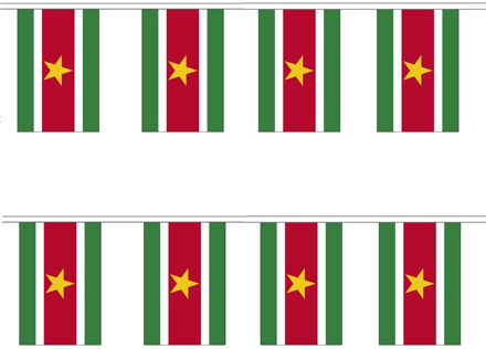 Suriname vlaggenlijn van stof - 2x - 300 cm - polyester - landen vlaggetjes - versiering