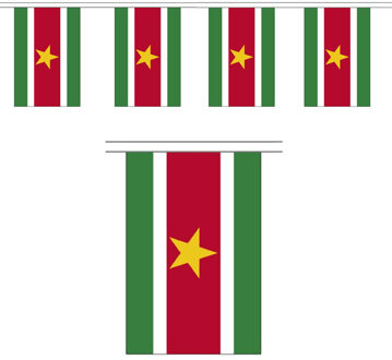 Suriname vlaggenlijn van stof - 300 cm - polyester - landen vlaggetjes - versiering Multi