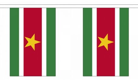 Suriname vlaggenlijn van stof - 3x - 300 cm - polyester - landen vlaggetjes - versiering