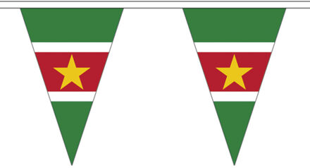 Suriname vlaggenlijn van stof - 500 cm - polyester - landen vlaggetjes - versiering Multi