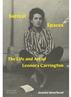Surreal Spaces - Joanna Moorhead