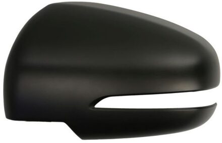Suzuki Afdekking, buitenspiegel 6103181384314P