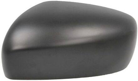 Suzuki Afdekking, buitenspiegel 6103182119310P