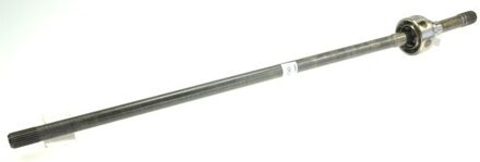 Suzuki Askoppeling 25430