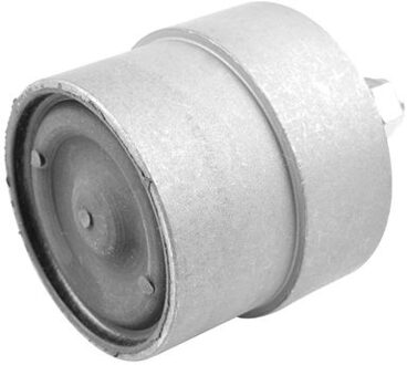 Suzuki Aslichaam-/motorsteunlager 00650278