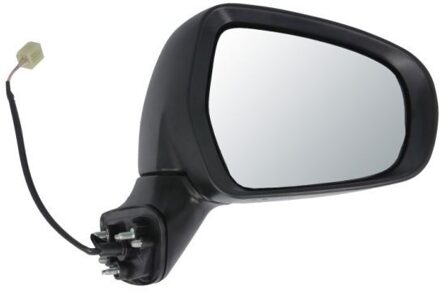 Suzuki Buitenspiegel 5402181382311P