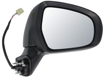 Suzuki Buitenspiegel 5402181382313P