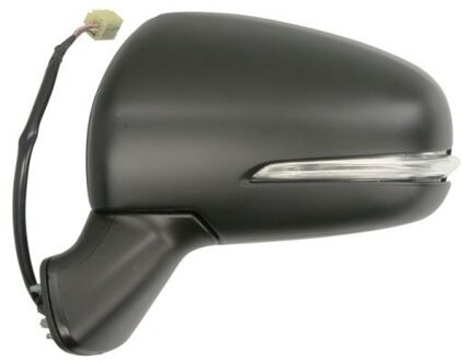 Suzuki Buitenspiegel 5402181382314P