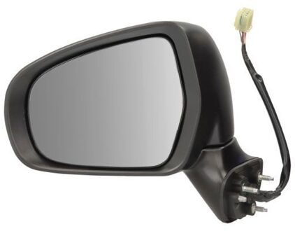 Suzuki Buitenspiegel 5402181382318P