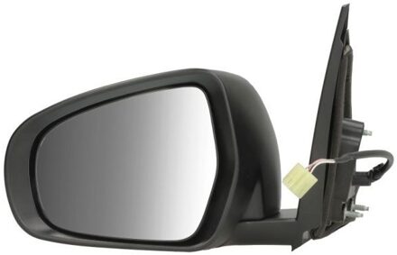 Suzuki Buitenspiegel 5402181384312P