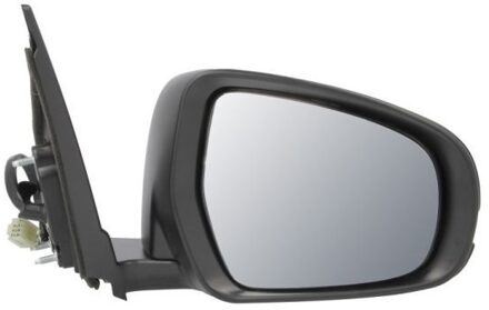 Suzuki Buitenspiegel 5402181384319P