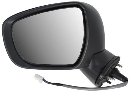 Suzuki Buitenspiegel 5402182002312P