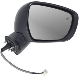 Suzuki Buitenspiegel 5402182002313P