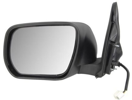 Suzuki Buitenspiegel 5402182002401P