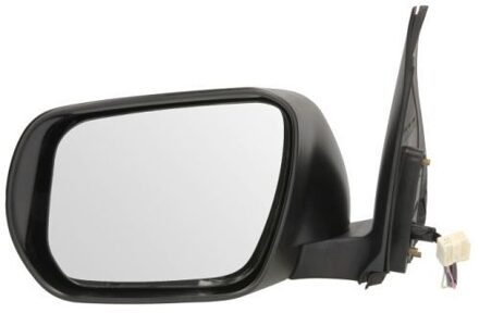 Suzuki Buitenspiegel 5402182002413P