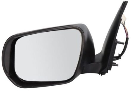 Suzuki Buitenspiegel 5402182002415P