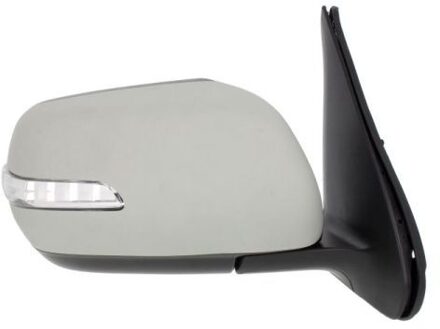 Suzuki Buitenspiegel 5402182002418P
