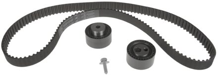 Suzuki Distributieriemset