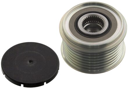 Suzuki Dynamovrijloop 101720