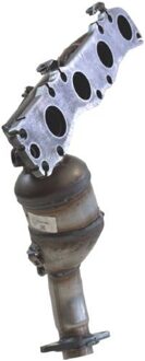 Suzuki Katalysator 090629