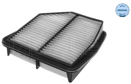 Suzuki Luchtfilter 36123210017