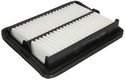 Suzuki Luchtfilter C22060