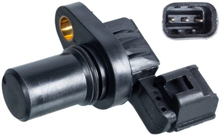 Suzuki Nokkenassensor