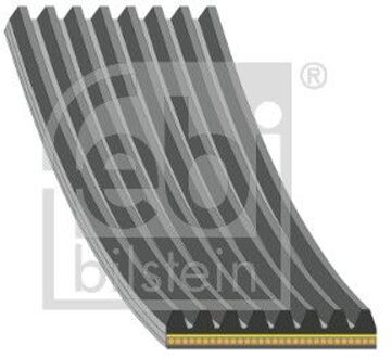 Suzuki Poly V-riem 188462