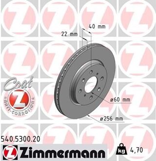 Suzuki Remschijf Coat Z 540530020