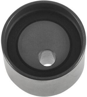 Suzuki Riemspanner, tandriem