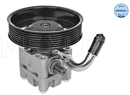 Suzuki Servo pomp 33146310000