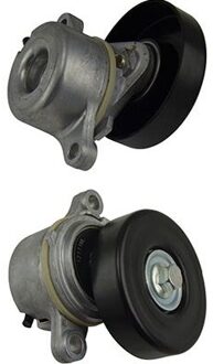 Suzuki Spanrol, Poly V-riem DTP8501