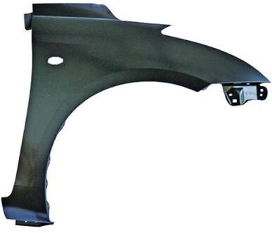 Suzuki Spatbord 6415006