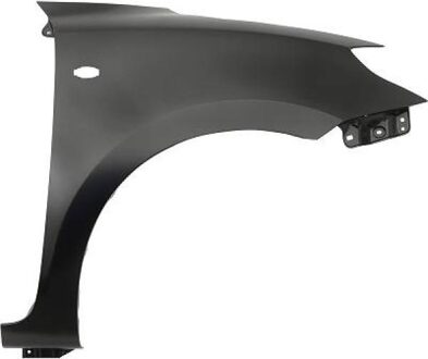 Suzuki Spatbord 6416006