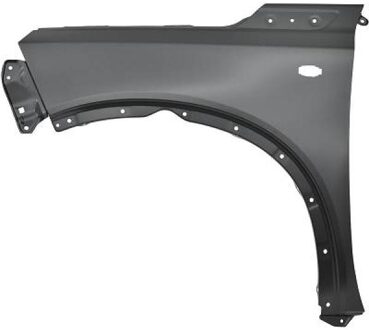 Suzuki Spatbord 6434807