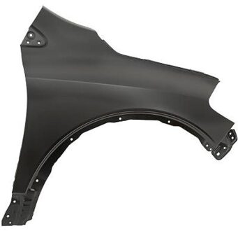 Suzuki Spatbord 6446806