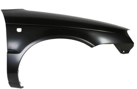 Suzuki Spatbord 6504046813314P