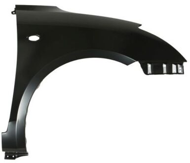 Suzuki Spatbord 6504046814312P